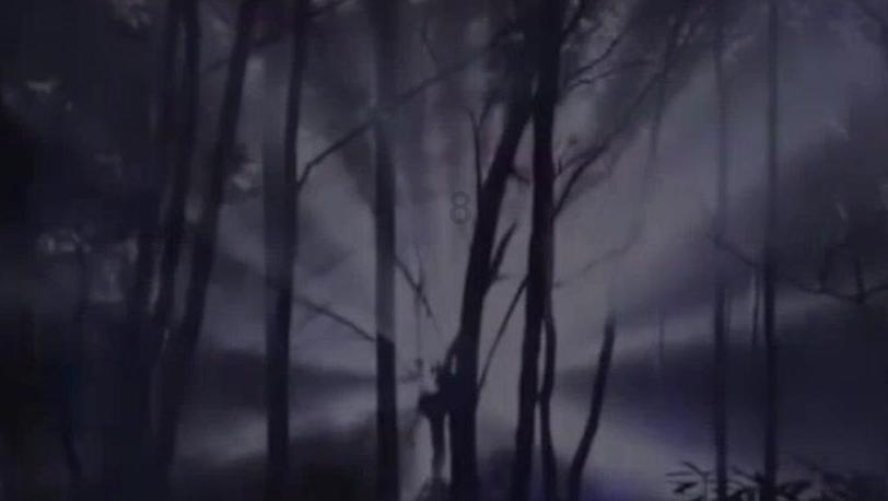 和通泊之战的结果